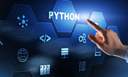 ifda pyhton with data course