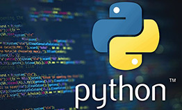 ifda python course